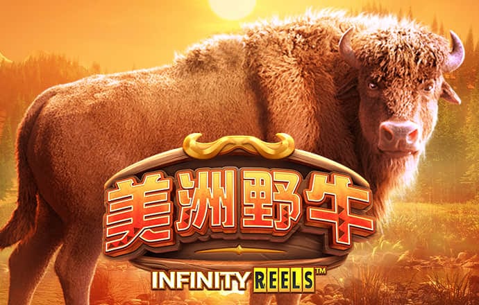 cbin仲博登陆入口下载